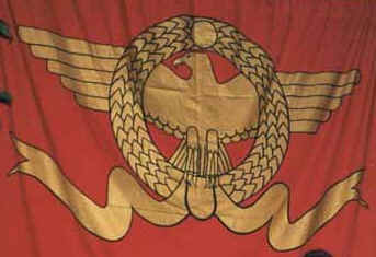 Roman Military Banner